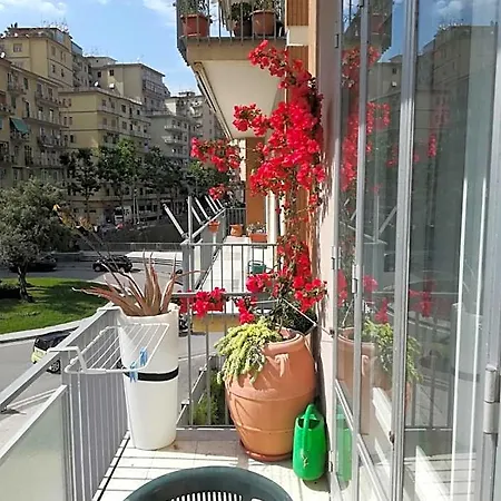Bed & Breakfast Edelweiss *